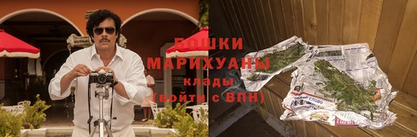 прущие грибы Михайловск