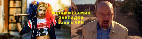 прущие грибы Михайловск
