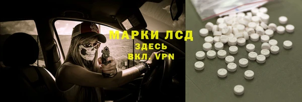 прущие грибы Михайловск