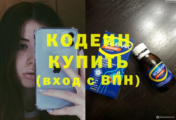 прущие грибы Михайловск